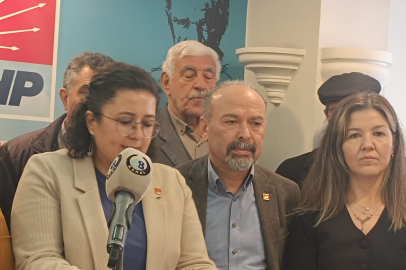 CHP'li Gökkuş: “Kadına yönelik şiddetin artışında iktidarın dili büyük rol oynuyor”