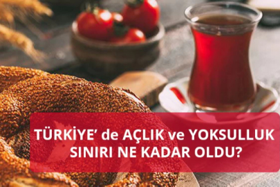 TÜRK-İŞ Haziran Verilerini Açıkladı: Açlık Sınırı 35 Bin 758 TL'yi, Yoksulluk Sınırı 116 Bin TL'yi Aştı