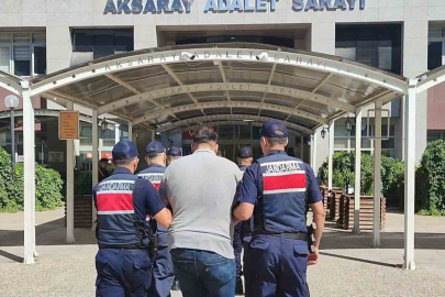 AKSARAY'DA KÖPEK DÖVÜŞÜNE JANDARMA OPERASYONU