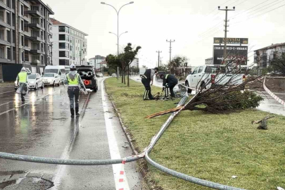 Aksaray’da kontrolden çıkan otomobil direk ve ağacı devirdi: 1 yaralı