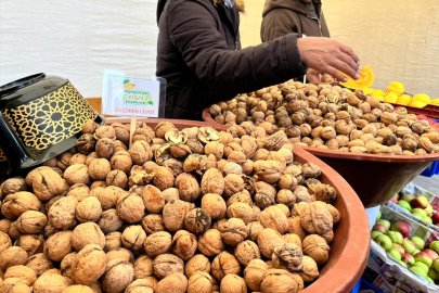 Ağaçören’de ceviz hasadı ve festival heyecanı bir arada yaşandı
