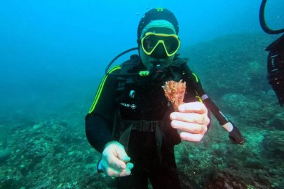 Marsilya’da deniz koruma alanı örnek oldu